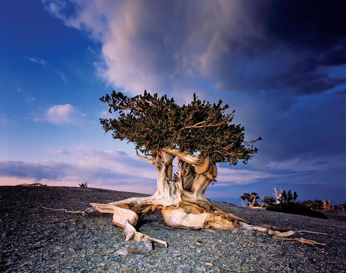 Photography: David Muench