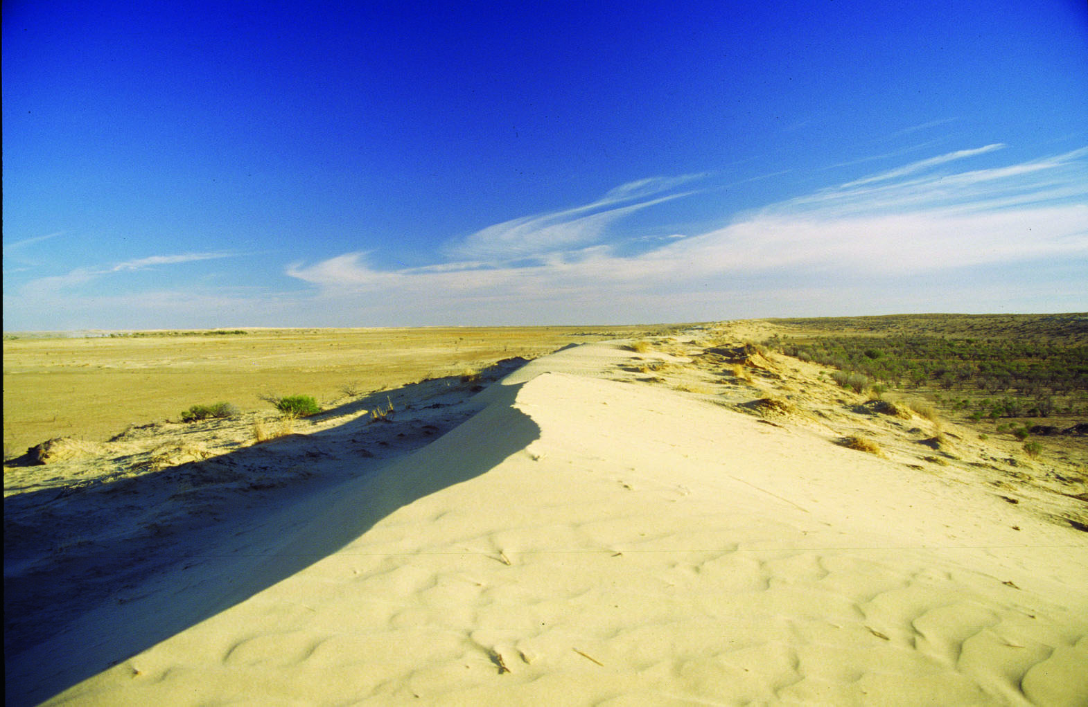 Photography: Thomas C. Wilmer