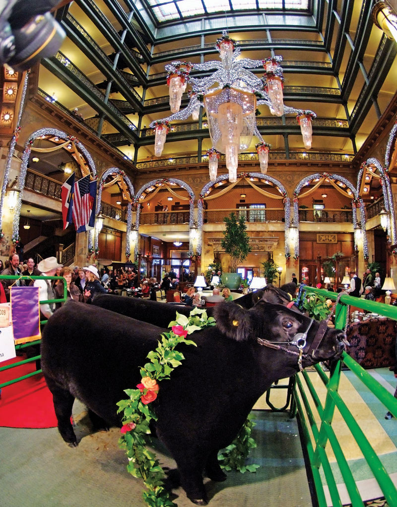 Photography: Courtesy The Brown Palace Hotel and Spa