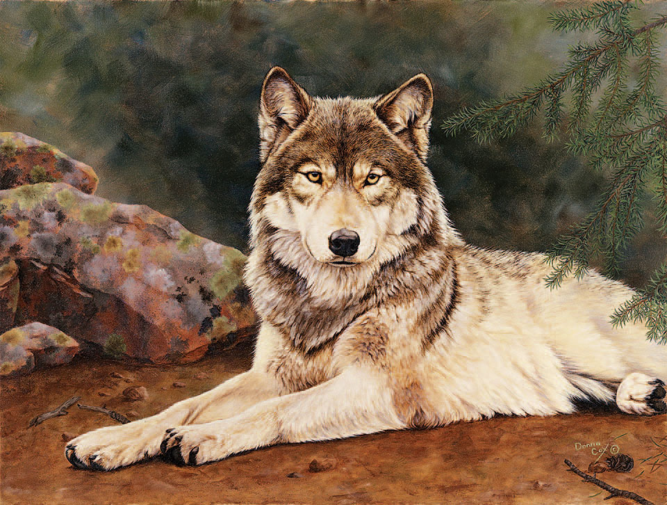 Little John-Wolf. Photography: Courtesy Donna Cox