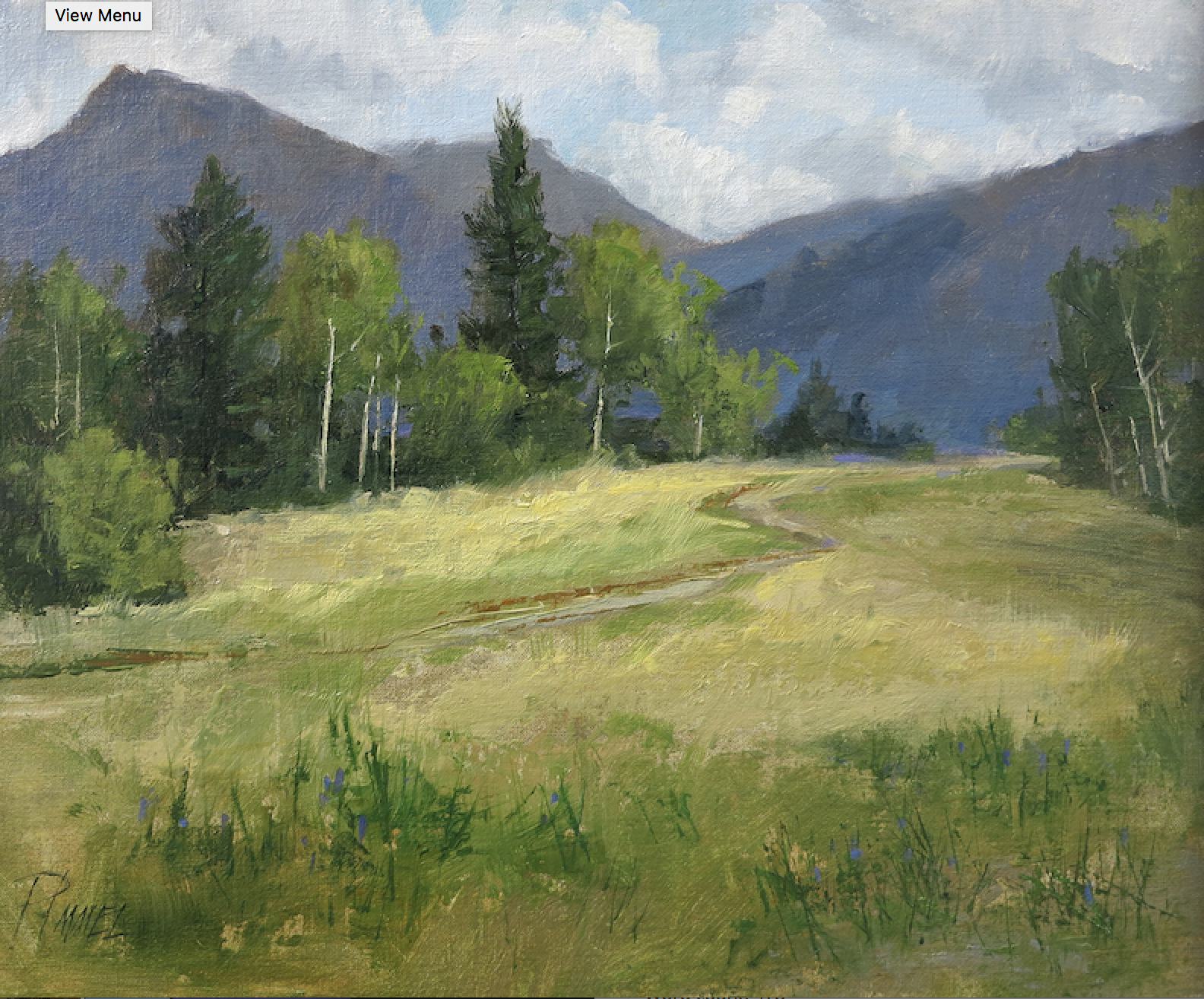 screen-shot-2017-01-19-at-9-32-17-am