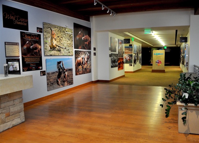Photography: WindDancer Foundation
