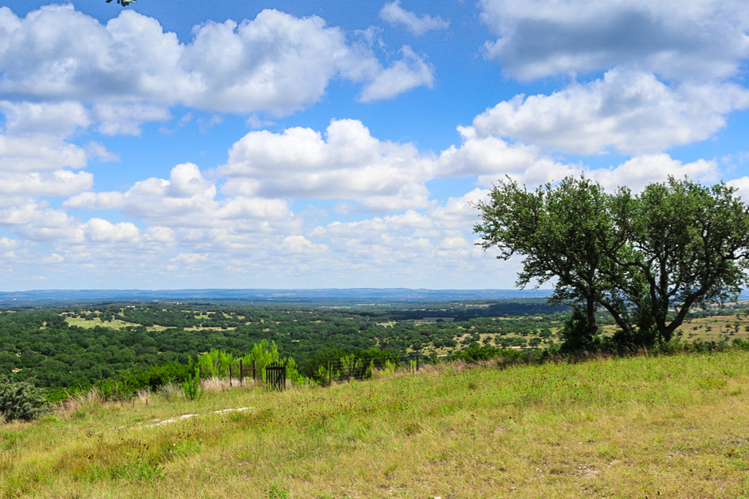 LBJ's Old Ranch