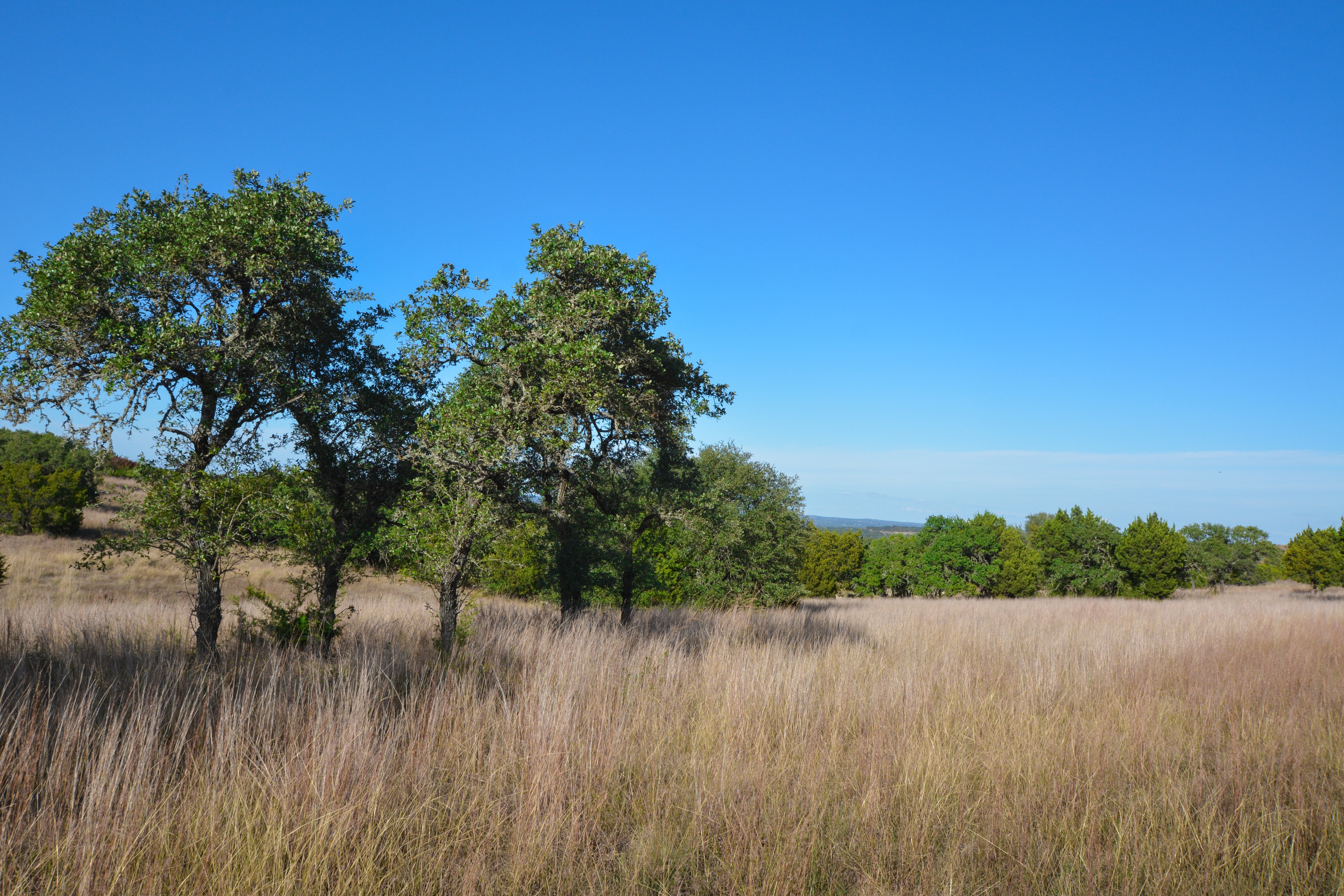 LBJ's Old Ranch