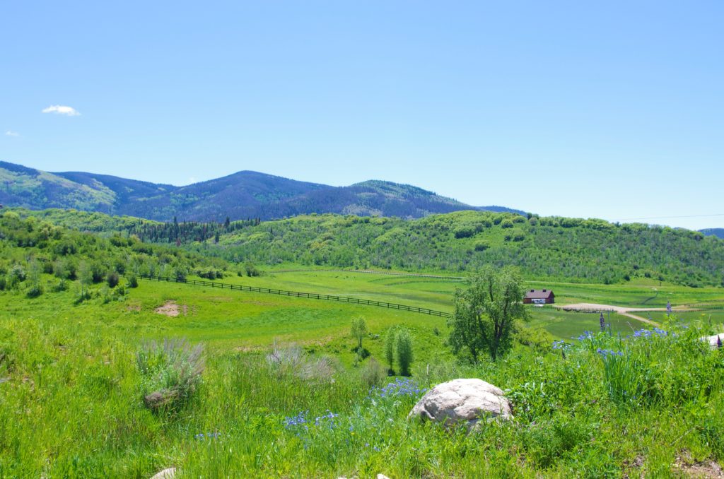 Ranches in Steamboat Springs