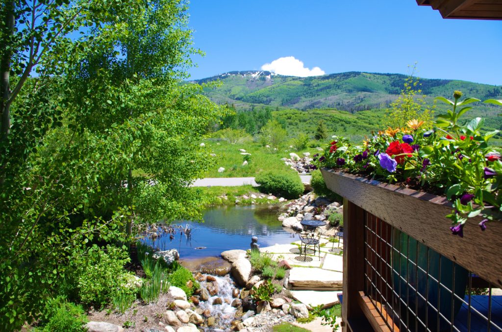 Ranches in Steamboat Springs