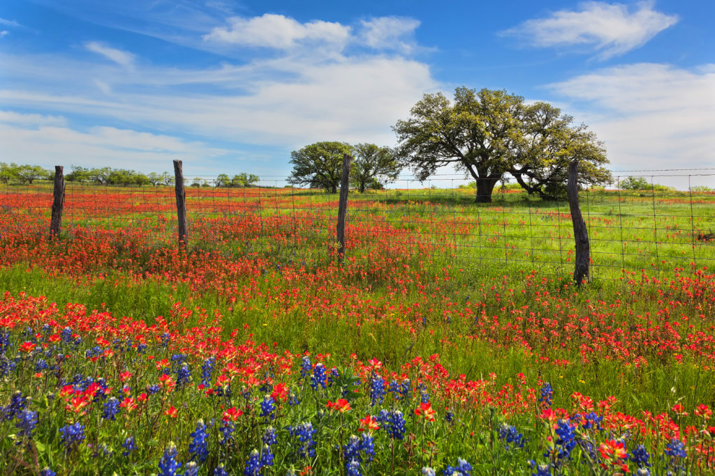 National Garden Week