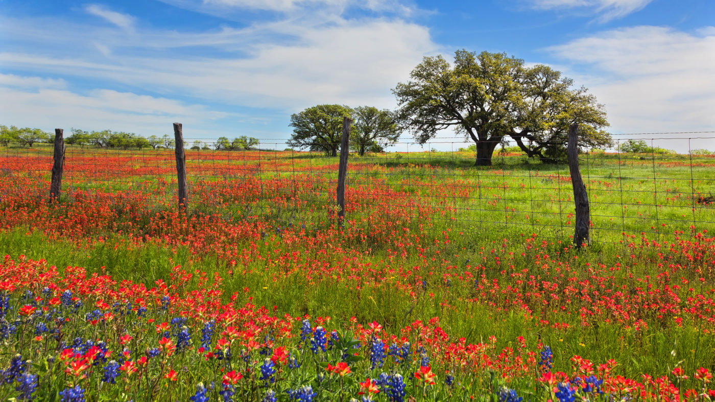 National Garden Week