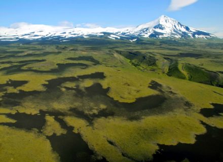 Bering Pacific Ranches