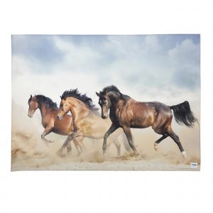 Wrangler/Pottery Barn