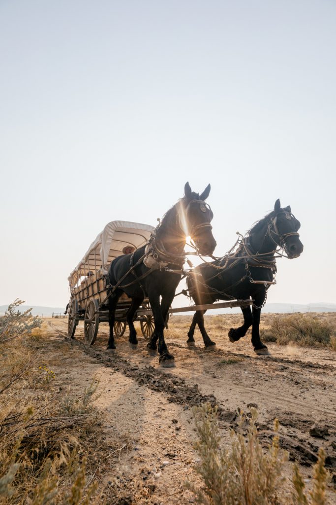 Historic Trails West