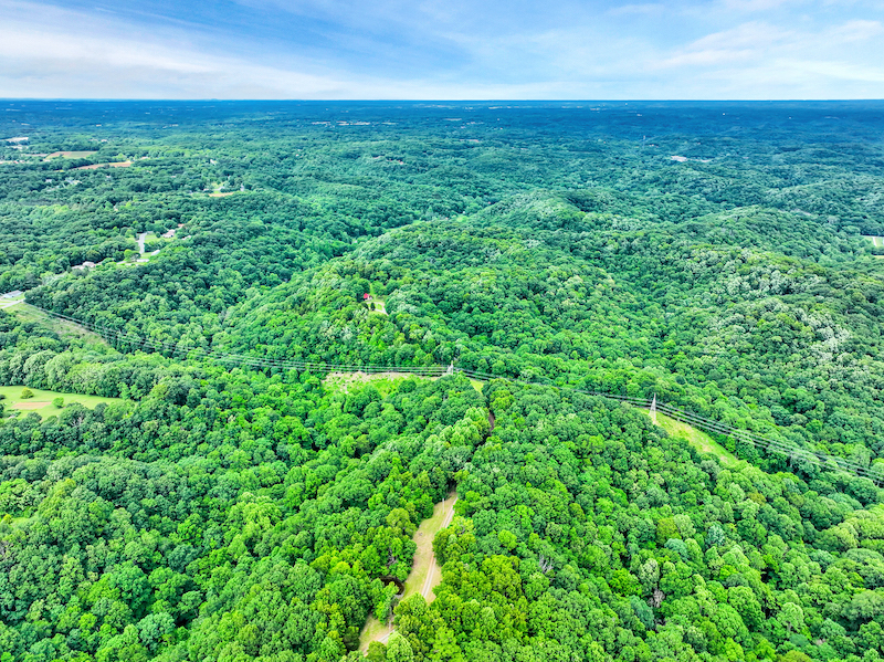 Willie Nelson Hideaway