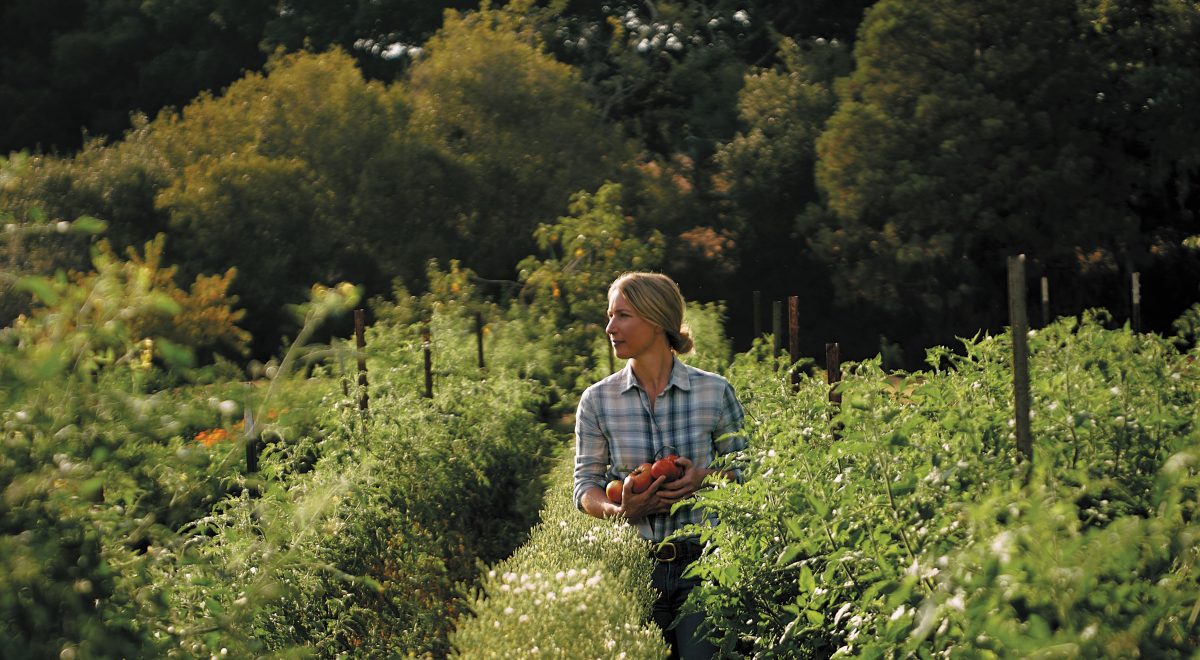 Elizabeth Poett walks through her vineyard.