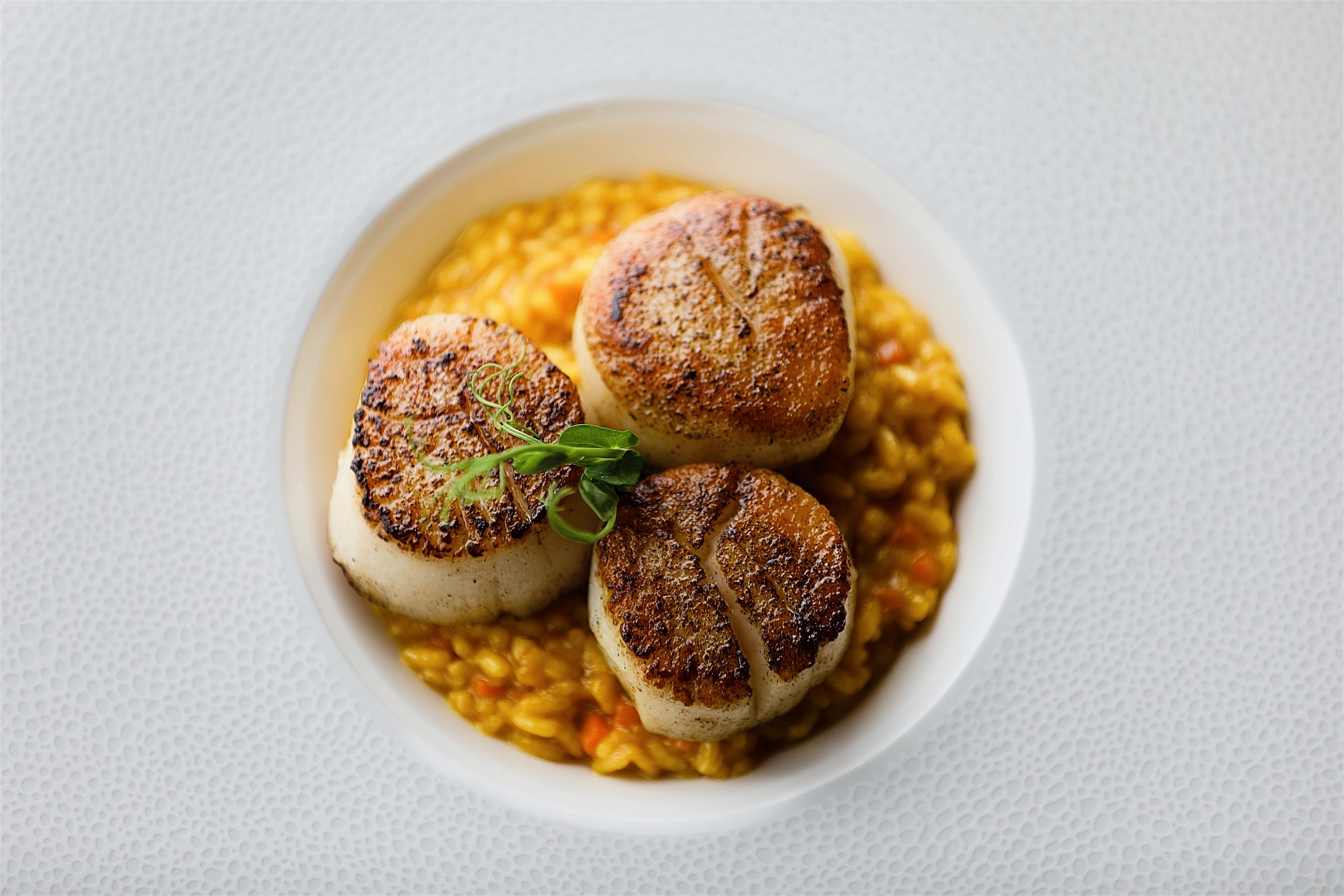 Three scallops sit delicately in a small bed of saffron risotto from the Brush Creek Ranch menu sits on a white plate.