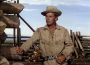 Alan Ladd in "Shane"